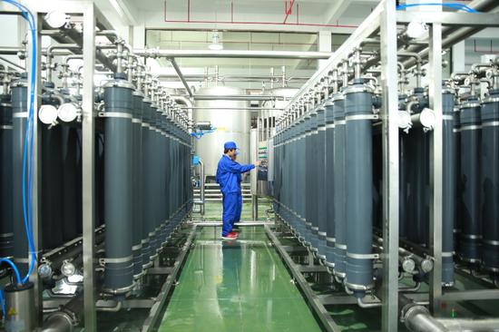 仙洋洋食品 粗老茶里的 淘金者